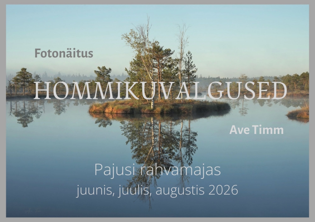 Hommikuvalgused (5)
